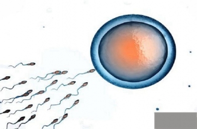 南京试管婴儿胚胎移植后的注意事项